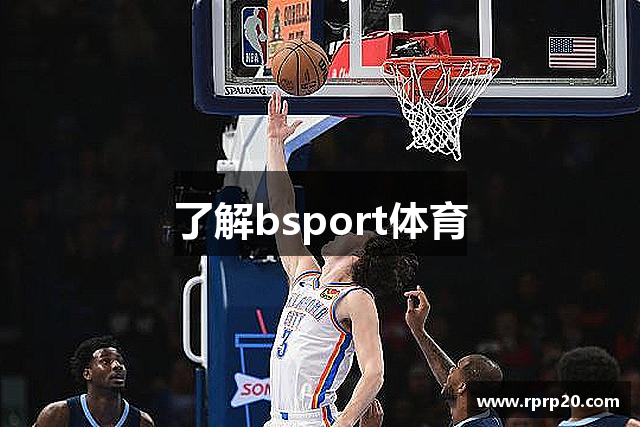 了解bsport体育